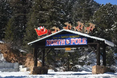 DSC_4862 (Large).JPG